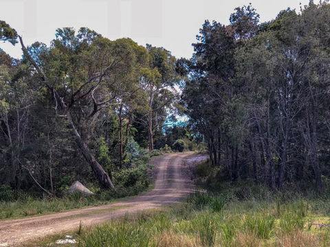 BAY Of FIRES ECO HUT Off Grid Experience At Binalong Bay - Accommodation Sunshine Coast 3