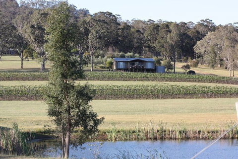 Blackwattle Luxury Retreats - Accommodation Sunshine Coast 1