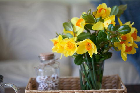 Salt Breeze - Accommodation Sunshine Coast 2