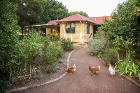 Malakai Farm Stay - Accommodation Sunshine Coast 2