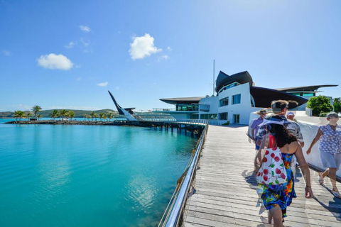 Yacht Club Villa 33 Serenity 4 Bedroom 4 Bathroom House Ocean Views 2 Buggies - Accommodation Sunshine Coast 4