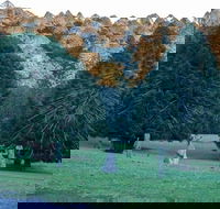 Escape to the Country - Enjoy the Firepit or Explore Magical Bunya Mountains - Accommodation Sunshine Coast