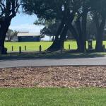 Yaringa Cottage...by The Sea - Accommodation Sunshine Coast 0