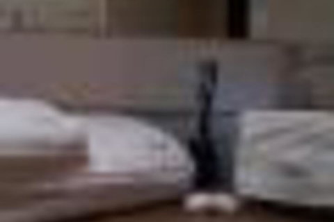 Skymirror Villa - Accommodation Sunshine Coast 2