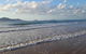 Driftwood - thumb 6