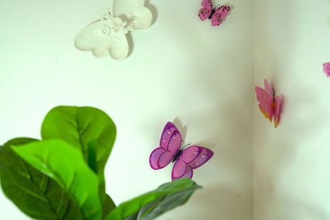 A Cozy 3BRM House At Doncaster - Accommodation Sunshine Coast 1