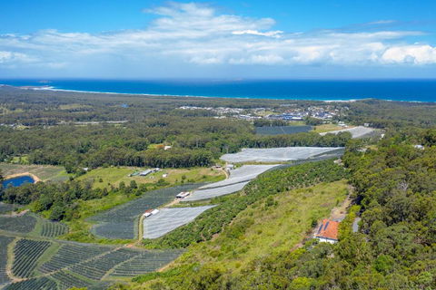 Eagles Loft - Accommodation Sunshine Coast 6