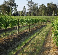Renovated Cottage Aberdare Hunter Valley - Accommodation Sunshine Coast