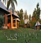 Feathers Sanctuary - Accommodation Sunshine Coast 6
