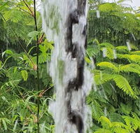 Driftwood Villa - Accommodation Sunshine Coast