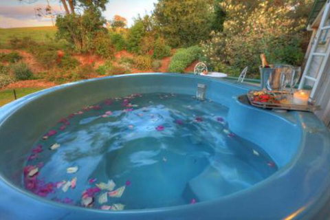 Maleny Homestead & Cottage - Accommodation Sunshine Coast 4