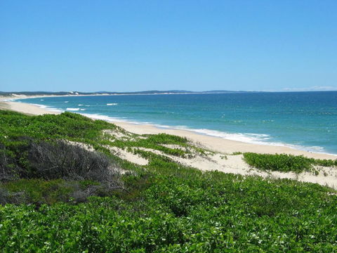 Pet Friendly On Pelican Close To Myall River - Accommodation Sunshine Coast 3