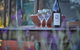 Herons Rise Vineyard Accommodation - thumb 5