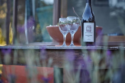 Herons Rise Vineyard Accommodation - Accommodation Sunshine Coast 5