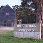 Herons Rise Vineyard Accommodation - Accommodation Sunshine Coast 0