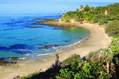 Pacific Studio Nambucca Heads - Accommodation Sunshine Coast 5
