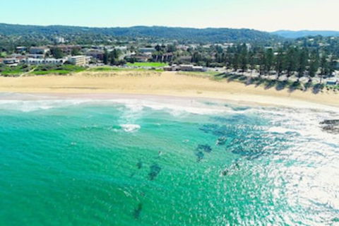 Reef Resort Apartments - Accommodation Sunshine Coast 0