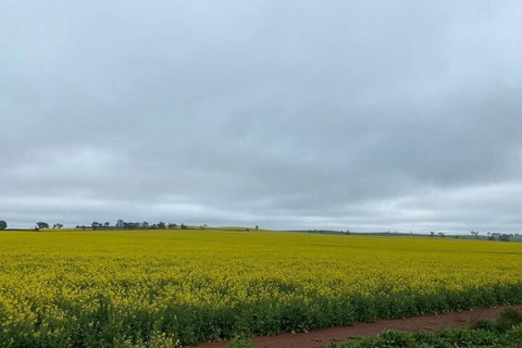 Apollo Motel Parkes - Accommodation Sunshine Coast 2