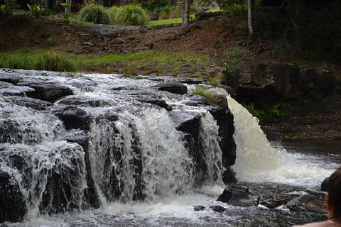 Runawaytomaleny - Accommodation Sunshine Coast 2