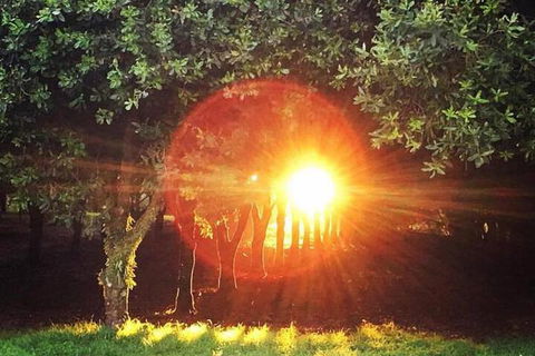 Glamping Byron Bay - Accommodation Sunshine Coast 7