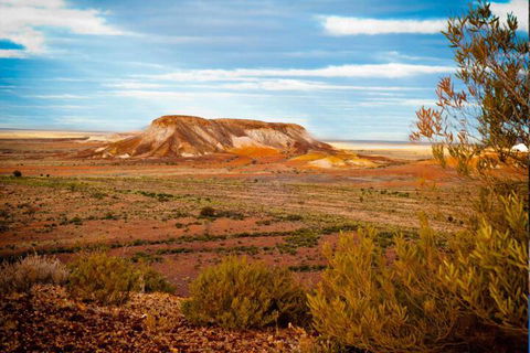 Alis Underground - Accommodation Sunshine Coast 2