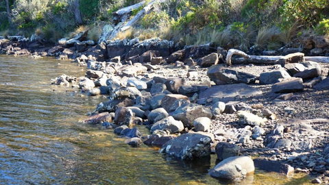 Livin The Dream - Accommodation Sunshine Coast 4