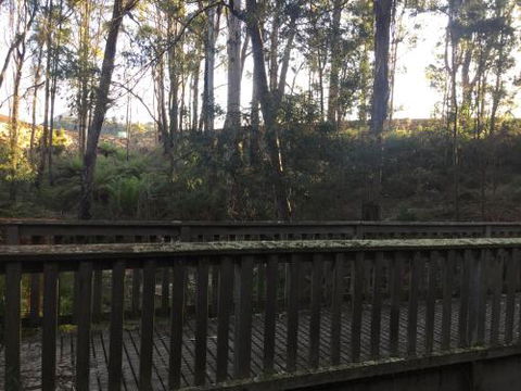 Harlea - Accommodation Sunshine Coast 1