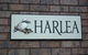 Harlea - thumb 4