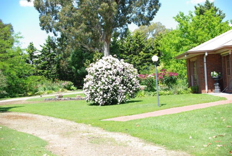 Getawaytoaljon - Accommodation Sunshine Coast 5
