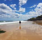 Arena Luxury Beachfront Apartment - Accommodation Sunshine Coast