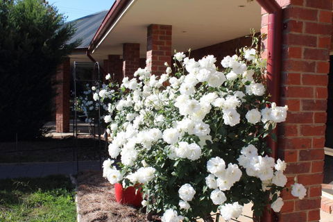 Gundaroo Manor Bed & Breakfast - Accommodation Sunshine Coast 1