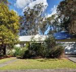 Pet Friendly Summer Cottage - Accommodation Sunshine Coast
