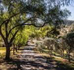 Capers Guesthouse Barn  Cottage - Accommodation Sunshine Coast
