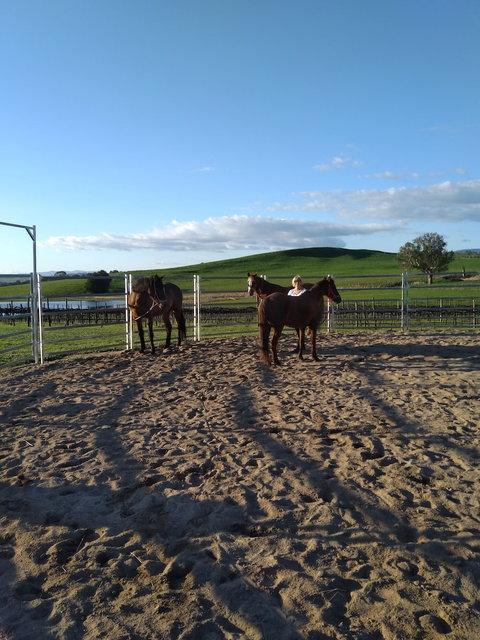 Altitude221 - Accommodation Sunshine Coast 2