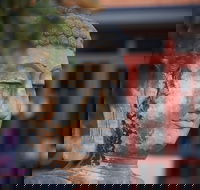 Pagoda Resort  Spa - Accommodation Sunshine Coast