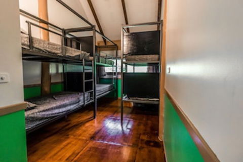 Jackaroo Treehouse Mission Beach - Accommodation Sunshine Coast 0