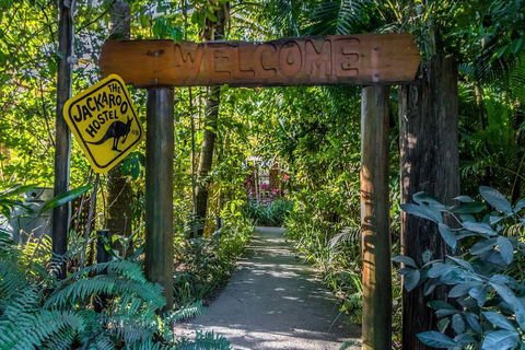 Jackaroo Treehouse Mission Beach - Accommodation Sunshine Coast 1