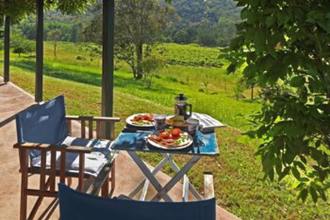 Cedar Creek Cottages - Accommodation Sunshine Coast 1