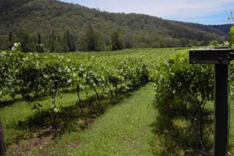 Cedar Creek Cottages - Accommodation Sunshine Coast 2