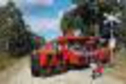 Mountain View Historical Quarry Workers Hut - Accommodation Sunshine Coast 4