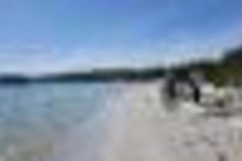 Mountain View Historical Quarry Workers Hut - Accommodation Sunshine Coast 5