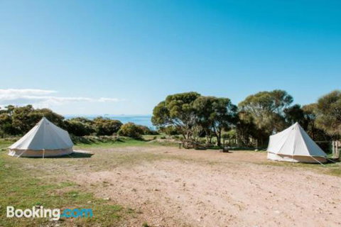 Glamping At September Beach Lincoln National Park - Accommodation Sunshine Coast 3