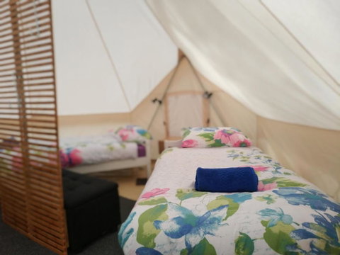 Glamping At Zeehan Bush Camp - Accommodation Sunshine Coast 6