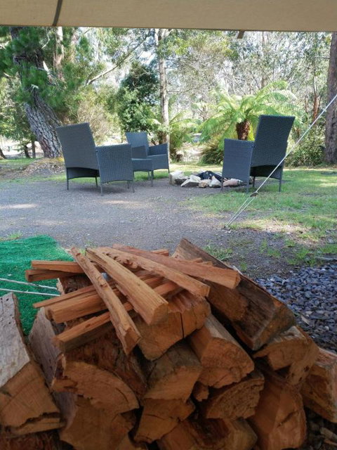 Glamping At Zeehan Bush Camp - Accommodation Sunshine Coast 5