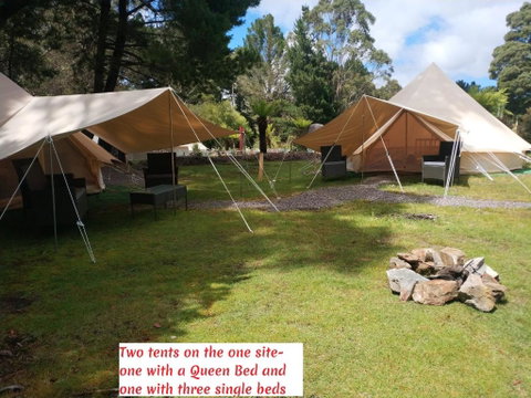 Glamping At Zeehan Bush Camp - Accommodation Sunshine Coast 2
