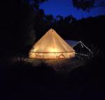 Glamping at Zeehan Bush Camp - Accommodation Sunshine Coast