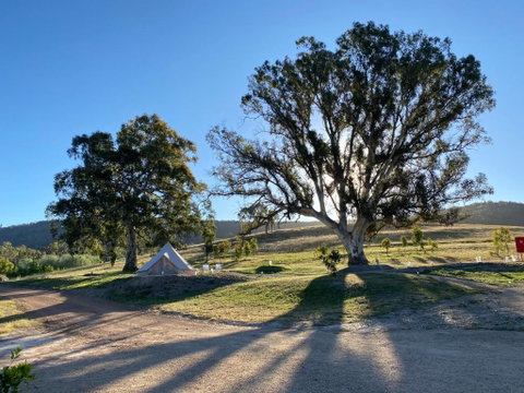 Mansfield Glamping - Accommodation Sunshine Coast 3