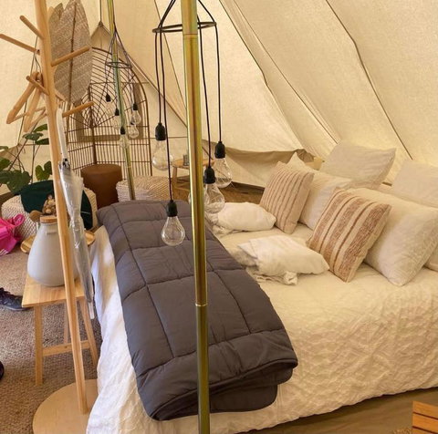 Mansfield Glamping - Accommodation Sunshine Coast 4