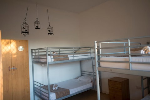 Roey Backpackers & Party Bar - Accommodation Sunshine Coast 6