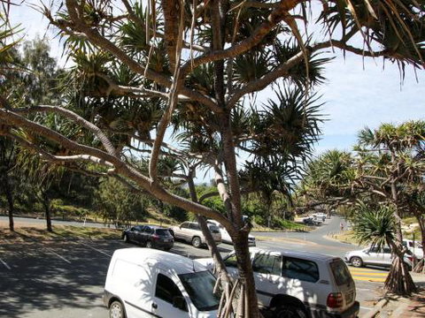 Studio 9 - Accommodation Sunshine Coast 6